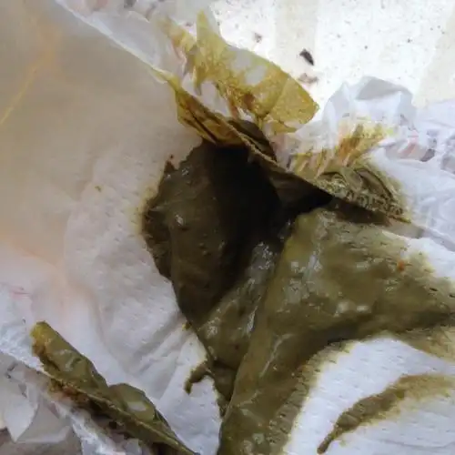 混合喂养的宝宝第四天拉绿色粑粑,急急急