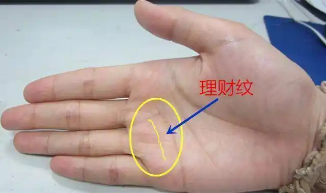 手掌感情线上方有一条平行的纹叫做理财纹,出现这种理财纹的人通常是