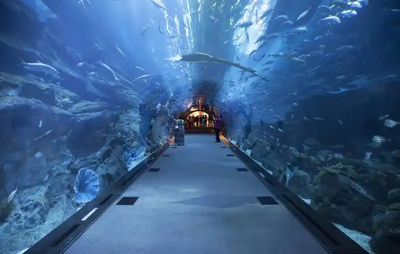 水族馆.海洋馆设计案例效果图