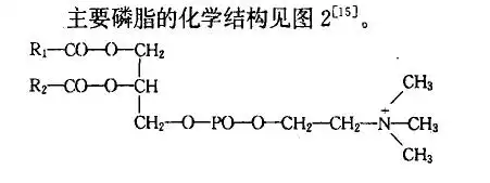磷脂的结构式是什么?