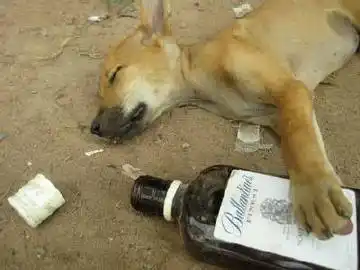 农呋 #朋友喝醉的样子# 是时候考验友情的时刻了.