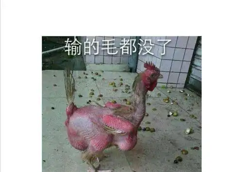 让你嘚瑟让你输的毛都没有了大笑大笑大笑大笑大笑