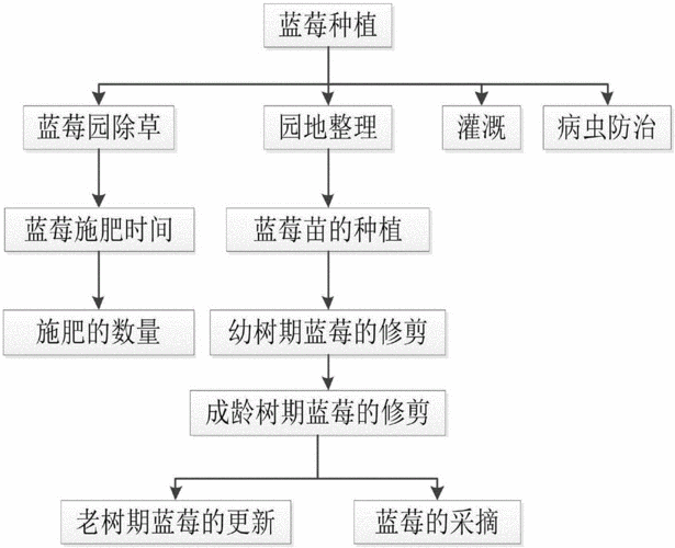 一种蓝莓种植方法与流程