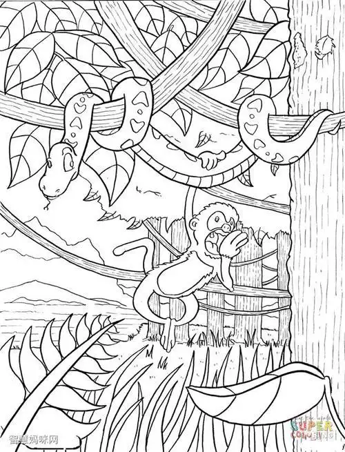 画法步骤热带雨林的树木简笔画热带雨林手绘简笔画豺狼虎豹简笔画树林