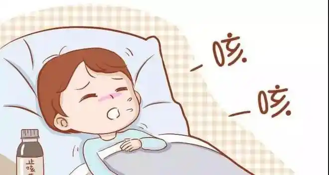 冬天天冷常咳嗽,3菜,2水,1事做到,润肺止咳少生病,健康过冬|罗汉果|鱼