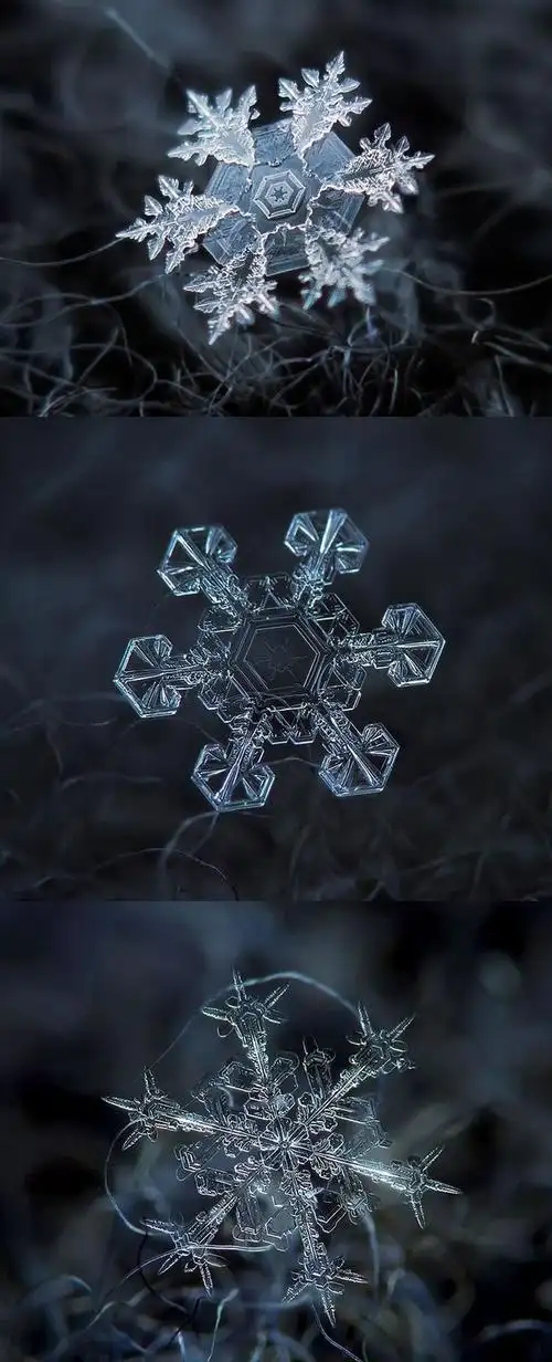 macro images of snowflakes - diy technique