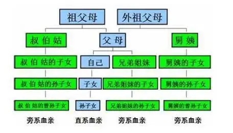 所谓的旁系亲属第四代是哪几代?