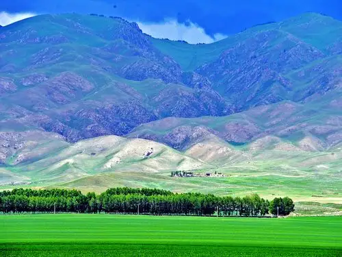 边陲小城昭苏,七月大地锦绣如画