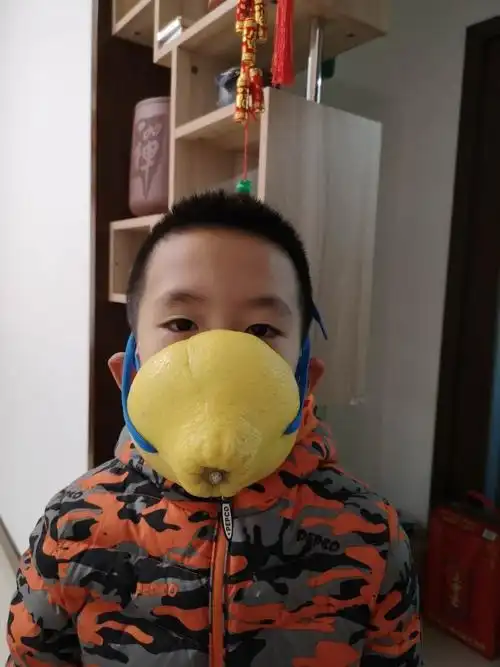 梅子家的柚子口罩diy,脑洞大开