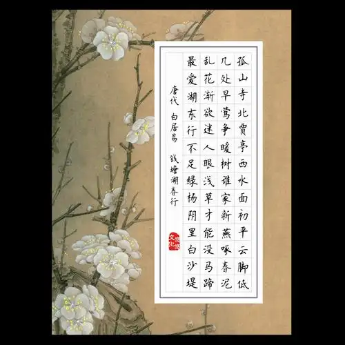 悠悠a4硬笔书法用纸钢笔书法练习方格创作比赛书法用纸