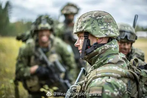 少见的斯洛伐克陆军,注意他们的迷彩服.