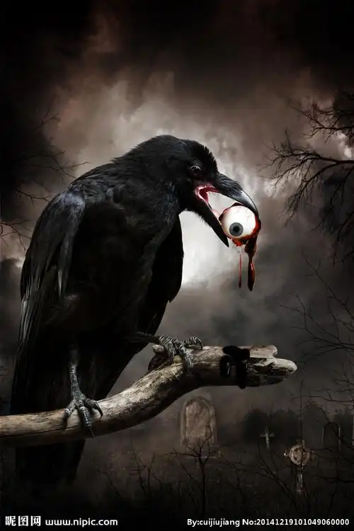 恐怖的乌鸦设计图__鸟类_生物世界_设计图库_昵图网nipic.com
