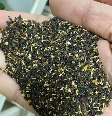 [五彩石竹种子批发]五彩石竹花种籽花种四季耐寒盆栽草坪美国常夏石竹