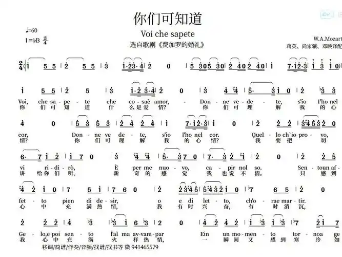 简谱bb你们可知道voichesapete