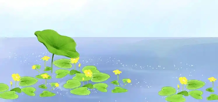 池塘荷花插画背景