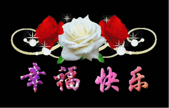 580_373gif 动态图 动图