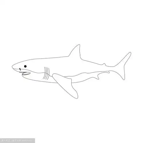 鲨鱼着色页面