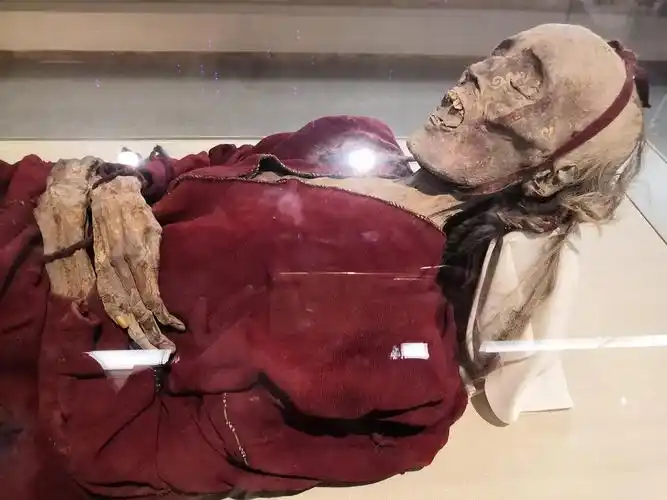 有uu想看博物馆干尸吗有图慎入