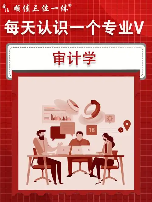 每天认识一个专业审计学