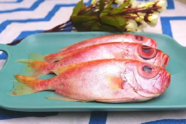 大眼鸡鱼学名大眼鲷纯野生海捕肉质鲜美帮杀好去内脏
