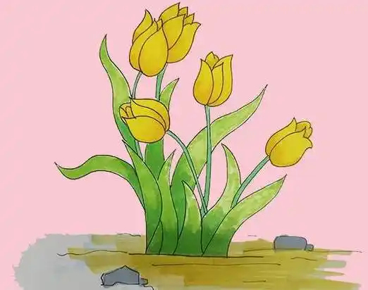 郁金香简笔画 郁金香简笔画图片