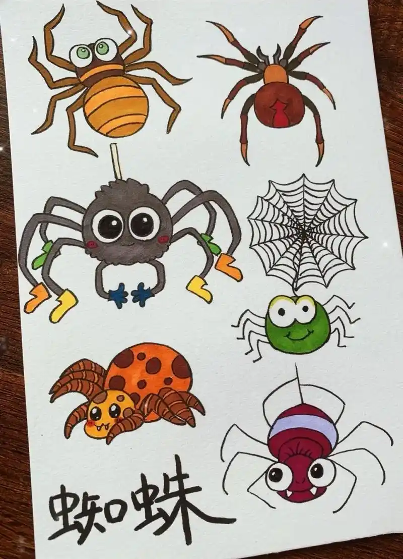 蜘蛛简笔画大全