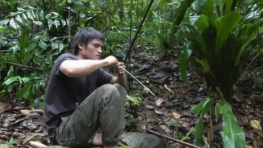 一个人的野外生存!必须千方百计找吃的,找到什么吃什么!