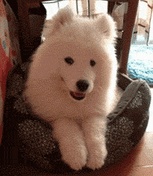 天秤座常常追求和平和谐的感觉,沟通能力极强是他们最大的优点.