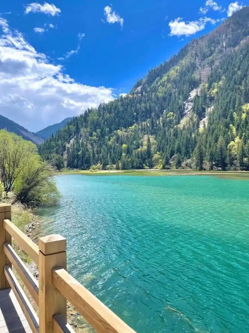 不去黄龙|九寨沟若尔盖三日游推荐 春夏来临 ,我们一起去大草原的湖边