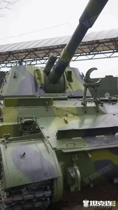 新年博物馆物语远房兄弟2s3自行火炮