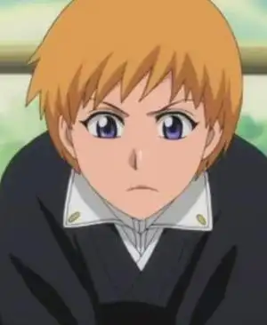 死神bleach人物大全