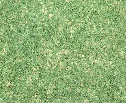 maya高模——山,带贴图