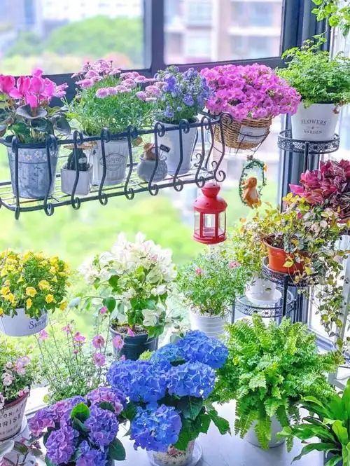 阳台小花园实景图片-成都青望园林景观设计公司-1