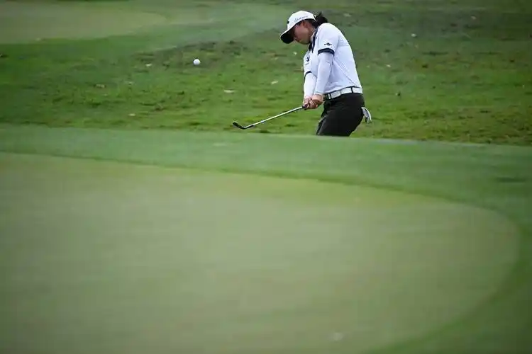 高尔夫——汇丰女子世界锦标赛第二日赛况_新华社_角逐_比赛