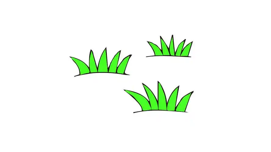 最后我们涂上漂亮的颜色,我们的小草就完成啦