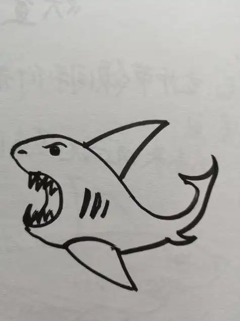 小鲨鱼怎么画可爱的小鲨鱼怎么画