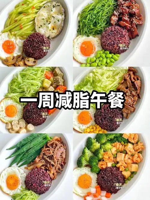 午饭菜谱美食减肥-午餐减脂餐食谱