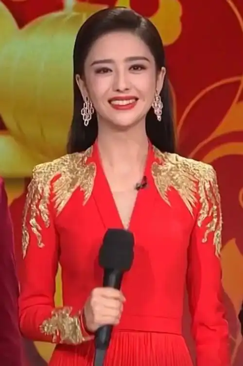 晚会主持人发型图片(历届央视春晚造型盘点) - 赤虎壹号