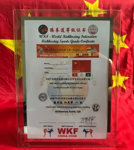 (wkf世界自由搏击联合会-国际踢拳道竞技等级证书样本)