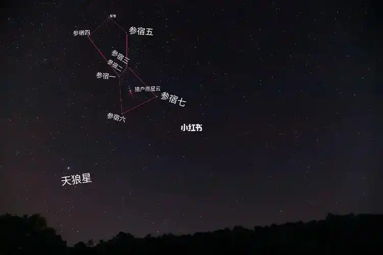 拍到了猎户座北斗七星