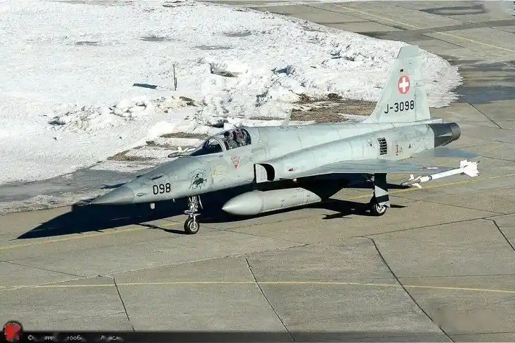 瑞士上空的虎f5ef老虎轻型战斗机掠影