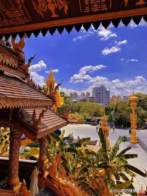 云南西双版纳家庭亲子出游悠闲路线推荐版纳旅游注意事项