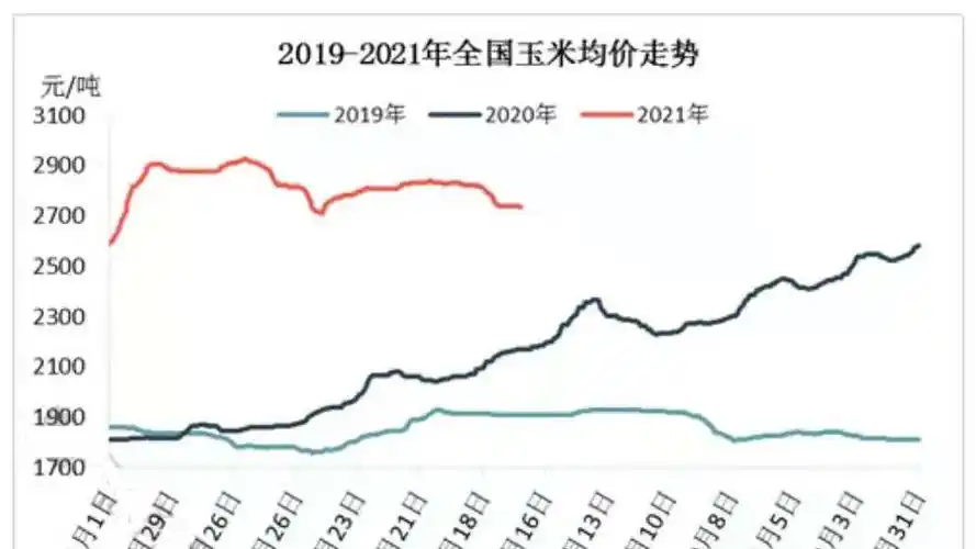 上半年玉米价格先扬后抑下半年能否重现辉煌