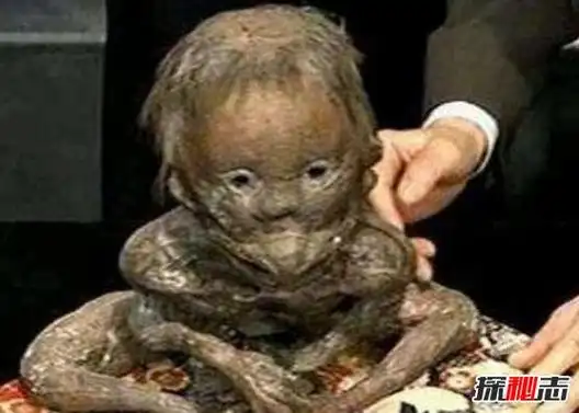 揭秘最真实的水鬼图片水猴子强迫人落水当替死鬼谣言