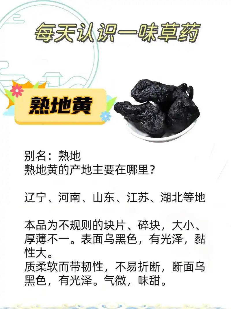 每天认识一味草药.#熟地黄 #中草药 #识百草 #植物科普  - 抖音