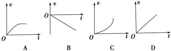 习题课 自由落体运动