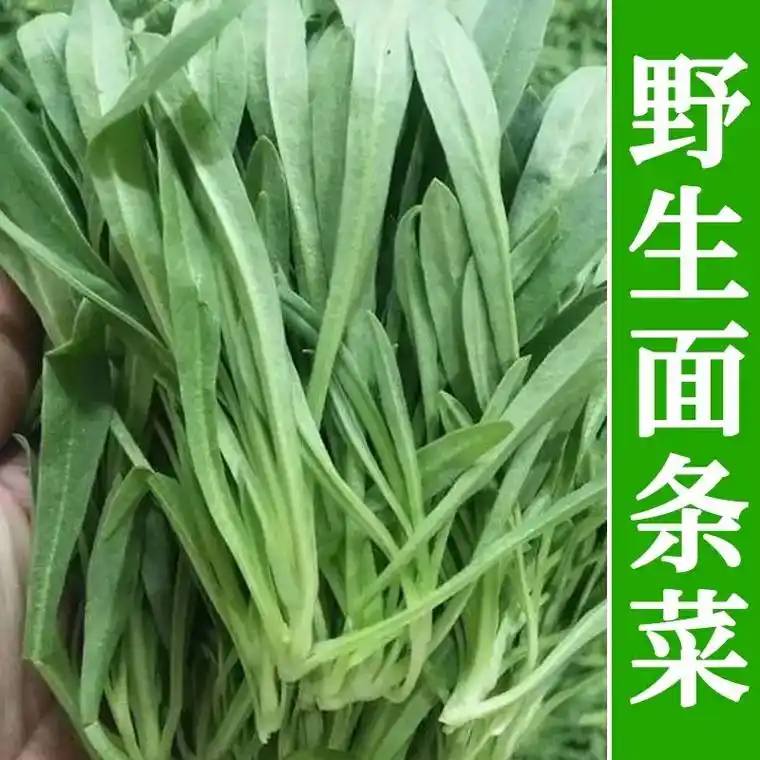 野菜名称大全,图片限制肯定不全 - 抖音