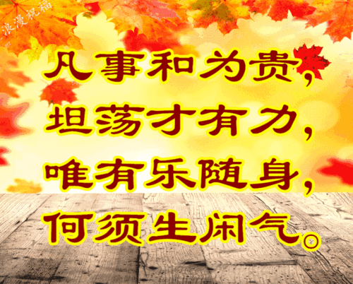 640_514gif 动态图 动图