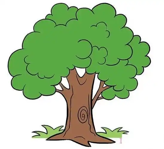 简笔画大树 简笔画大树怎么画 - 水彩迷
