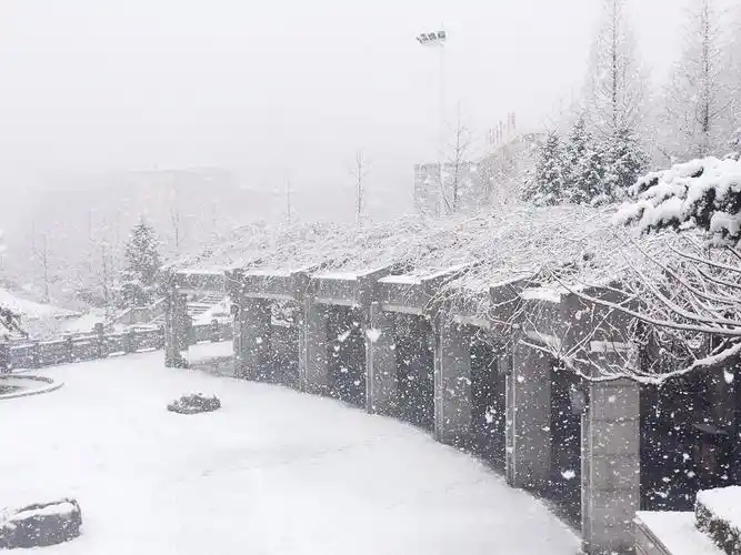 春天的丹东下起一场鹅毛大雪